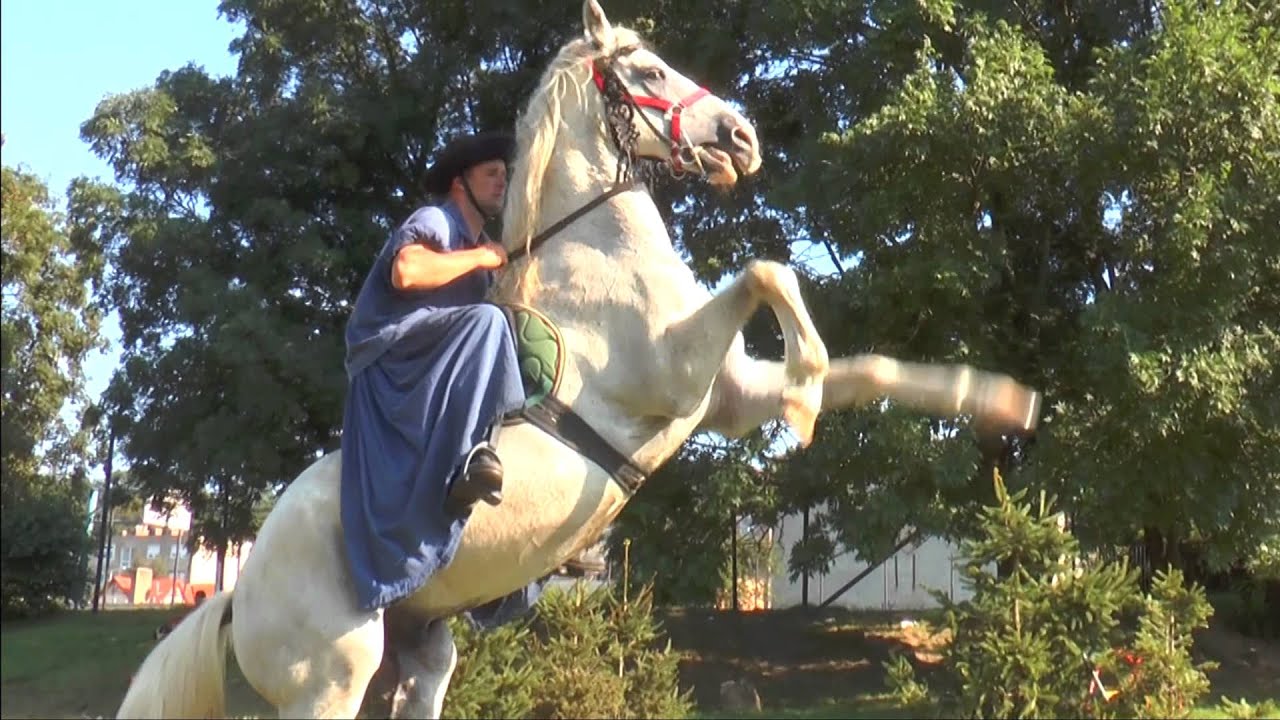 Bakonyi&nbsp;Betyárnapok&nbsp;Zirc Imázs&nbsp;videó&nbsp;/2014/